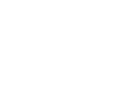Black Shield Security Group